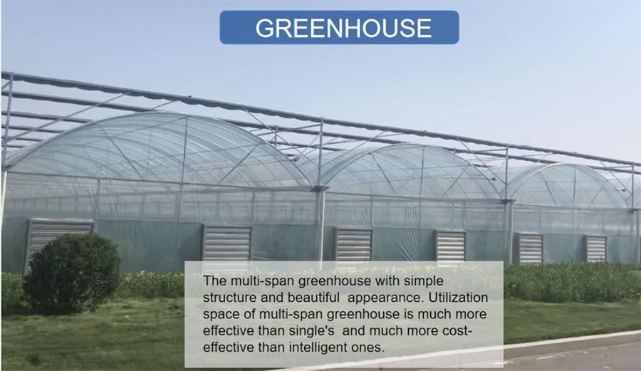 china plastic garden greenhouse