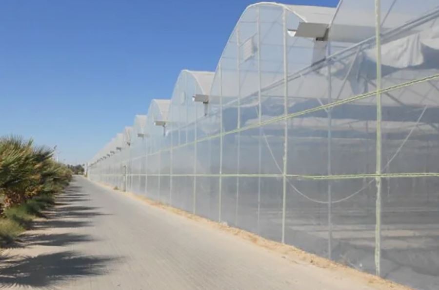 double layer poly greenhouse factory