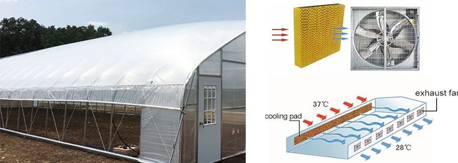 200 micron greenhouse plastic price