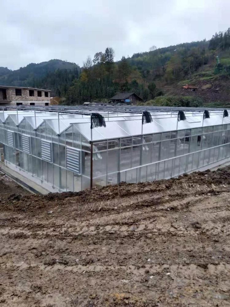 construction of greenhouses in winter