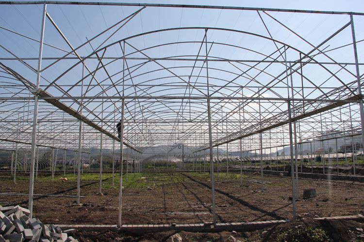 The following are the advantages of agricultural greenhouses