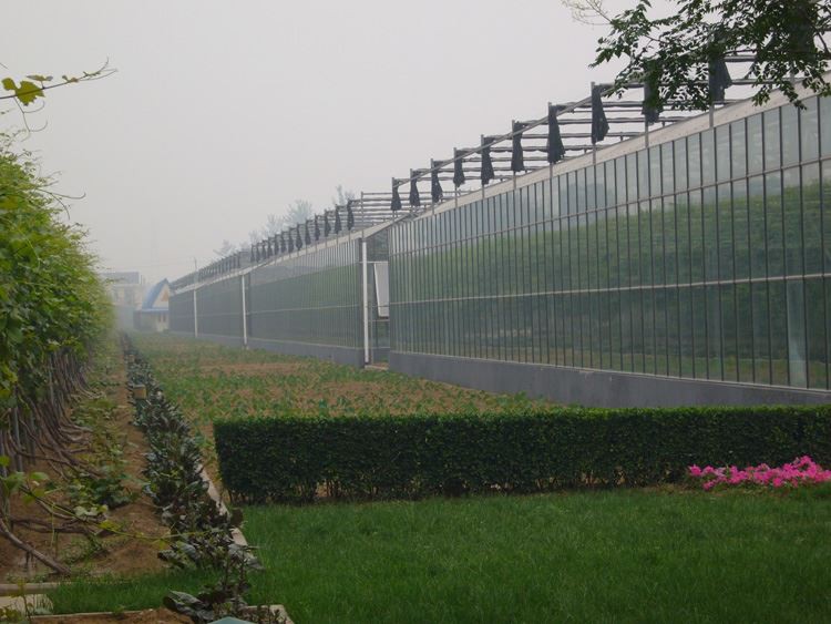 Multi-span glass greenhouse construction