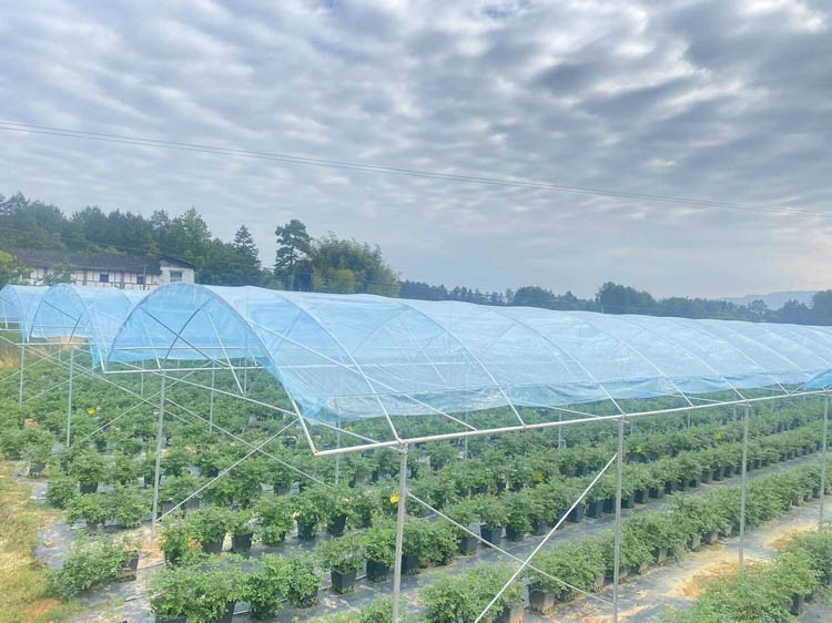 Types and thicknesses of plastic film for greenhouses Types and thicknesses of plastic film for greenhouses