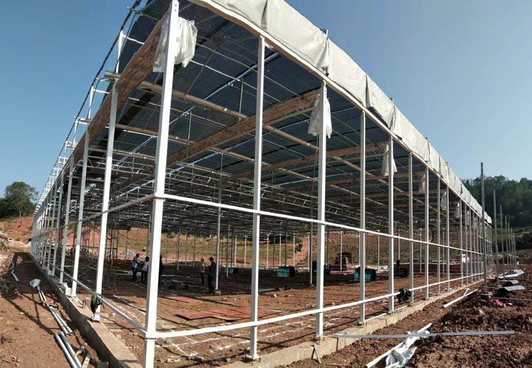 Flexible watering while watching the sky during the construction of a solar greenhouse with columns