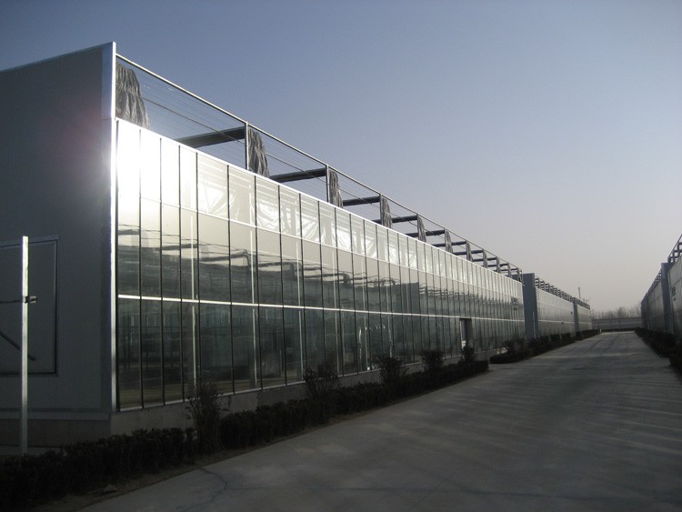 How to Build a Greenhouse