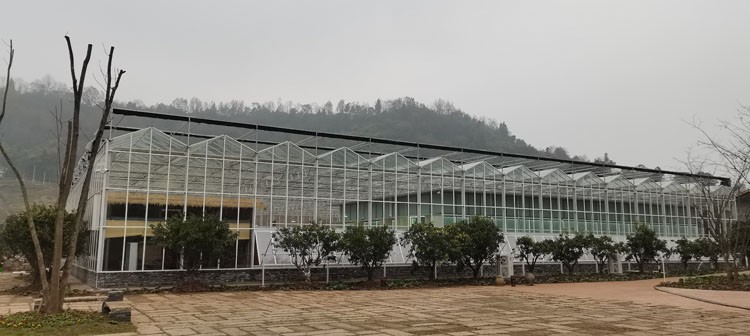Rescue measures for severe water accumulation in vegetable greenhouses