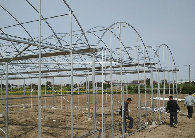 The following four points should be considered when building a greenhouse