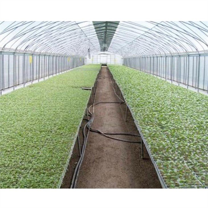200 micron greenhouse plastic manufacture
