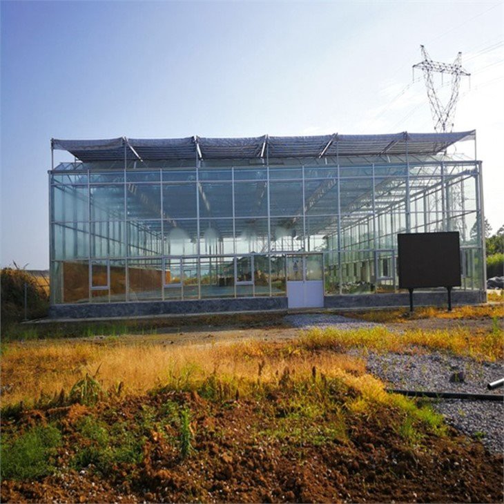 Cold-proof multi-span greenhouse  supplier