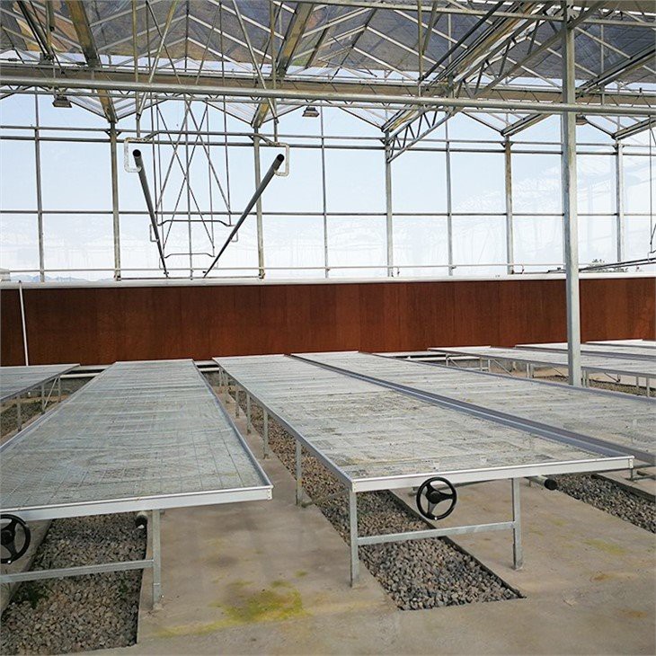 Cold-proof multi-span greenhouse  price