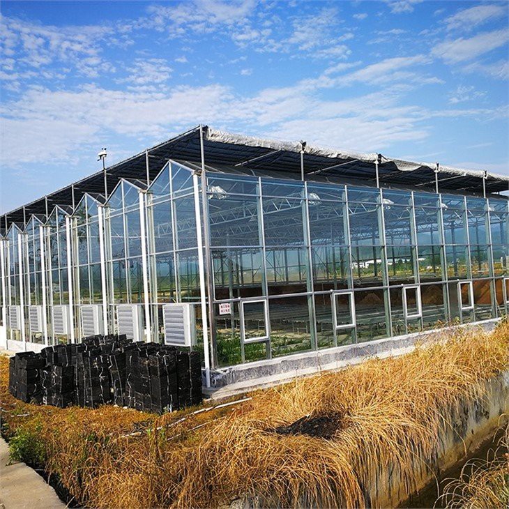 Cold-proof multi-span greenhouse china