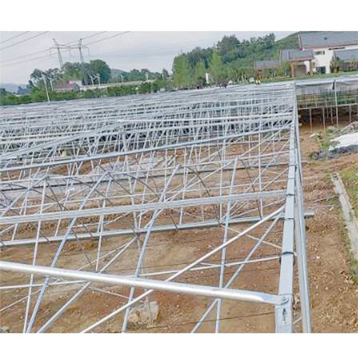 double layer poly greenhouse made in china