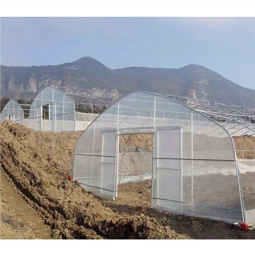 40x100 Sera Plastiği