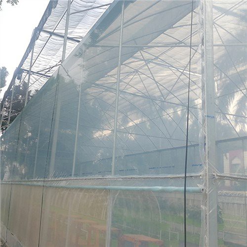 Sera için 6 mil berrak plastik kaplama