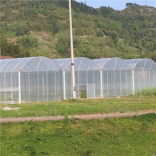 6 Mil Sera Plastik Ev Deposu